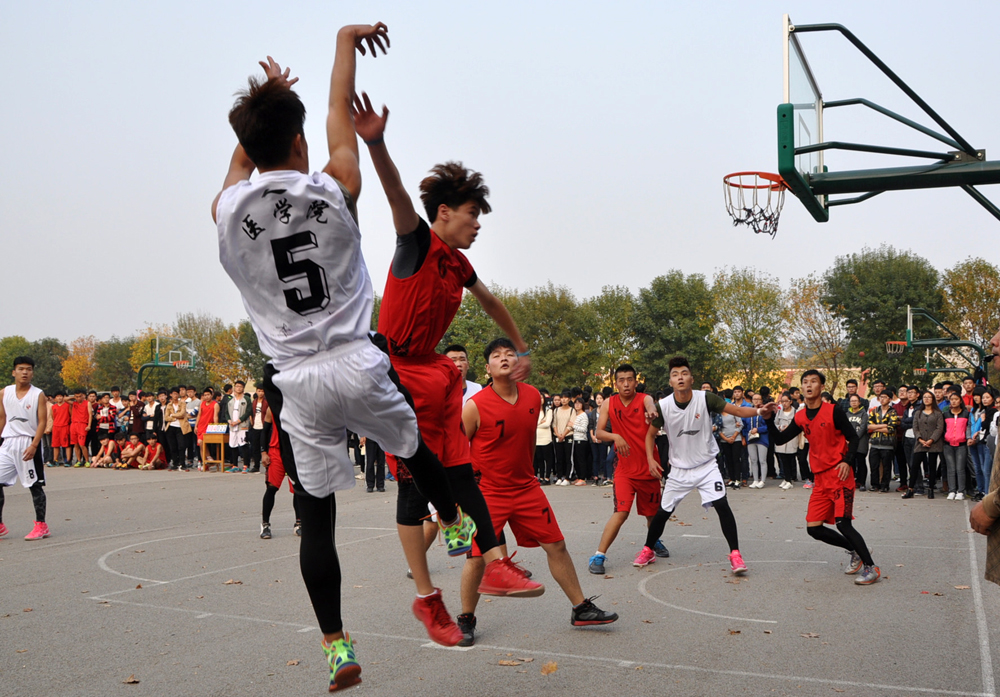 复件 DSC_2011_副本123.jpg