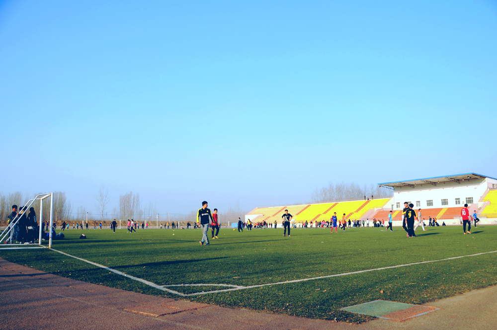 刘九洲 秋日的运动1111.jpg