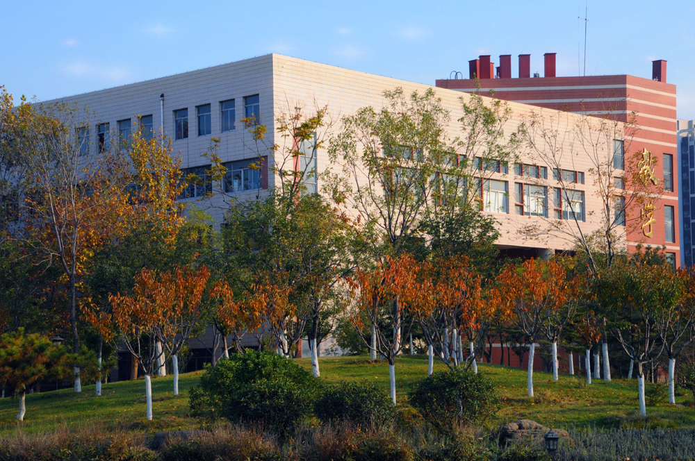 刘九洲 泛黄的校园11.jpg