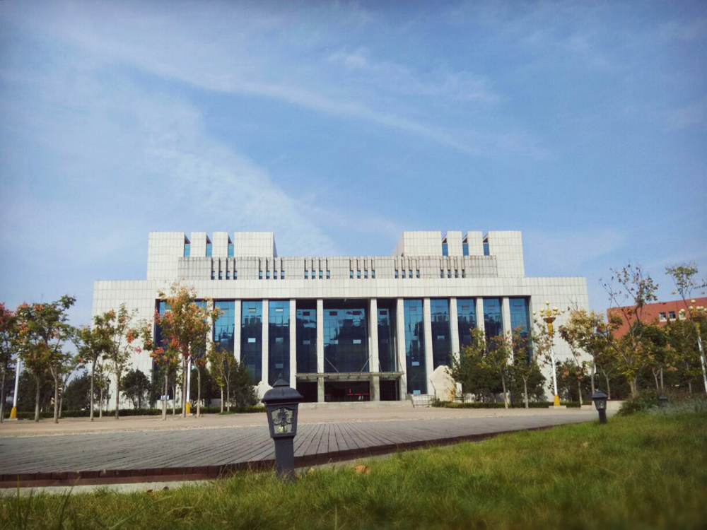 杨雪 图书馆11.jpg